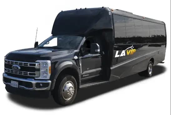 Luxury Minibus