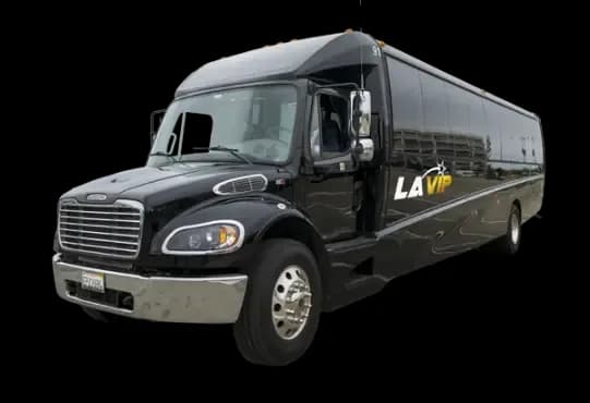 Luxury Mini Coach