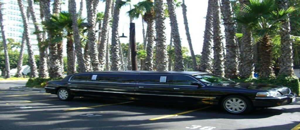 Tour # 11 Private Limousine Tour Up to 6 People $650.00+10 % Gratuity. PLEASE WRITE YOUR HOTEL NAME AND YOUR PICKUP TIME***